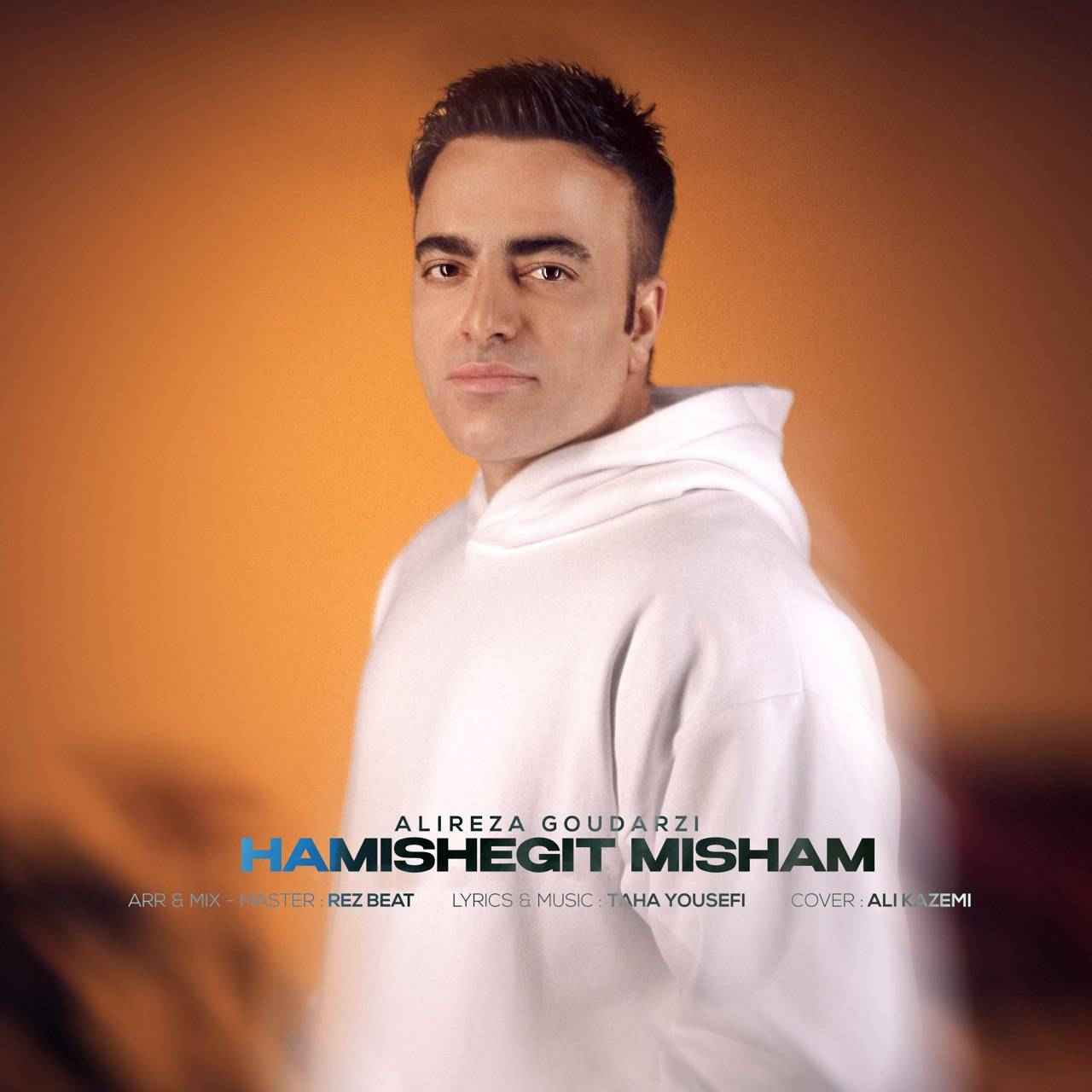 Hamishegit Misham