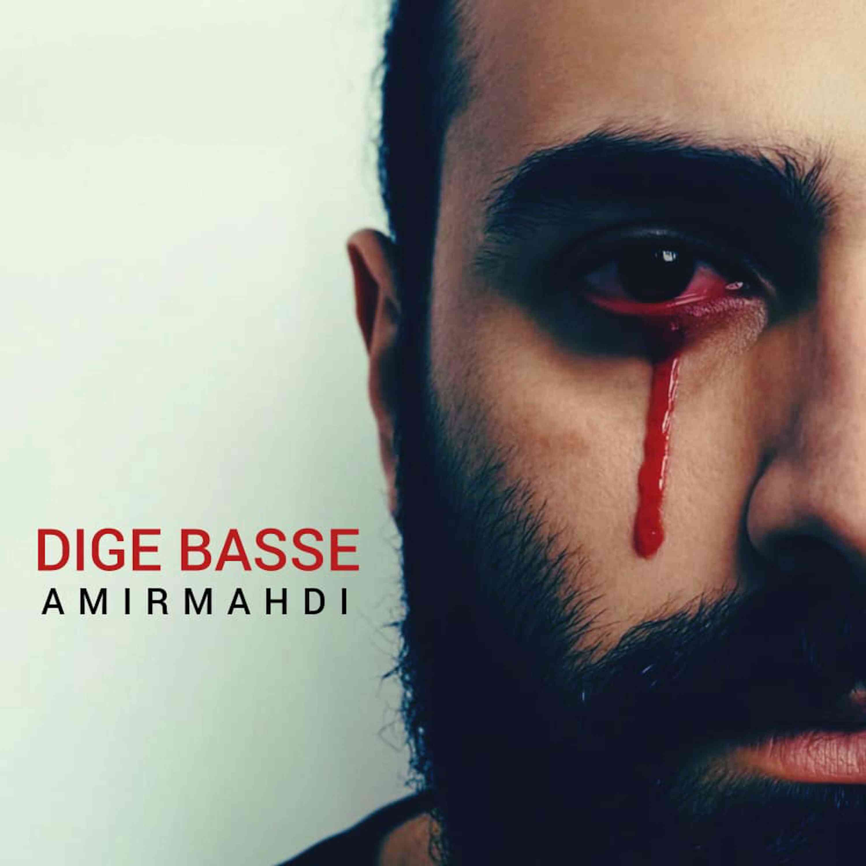 Dige Basse