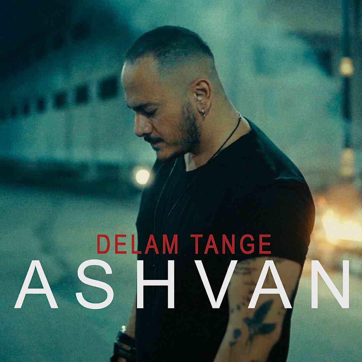 Delam Tange