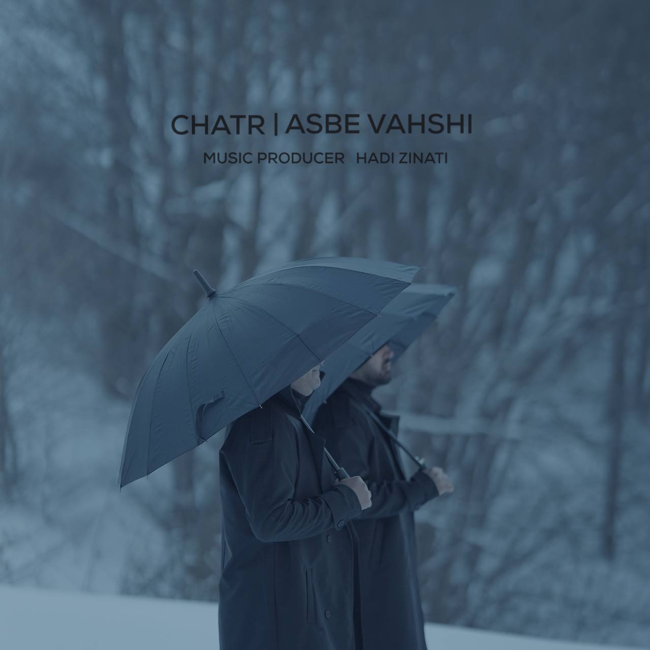 Asbe Vahshi