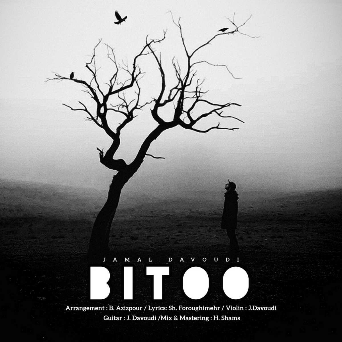 Bi Too