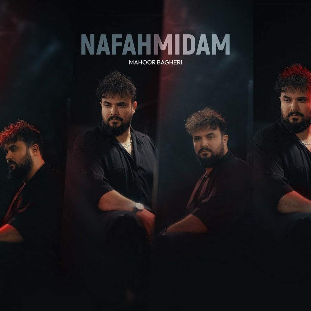 Nafahmidam