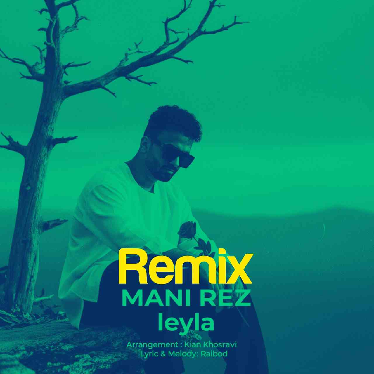 Leyla (Remix)