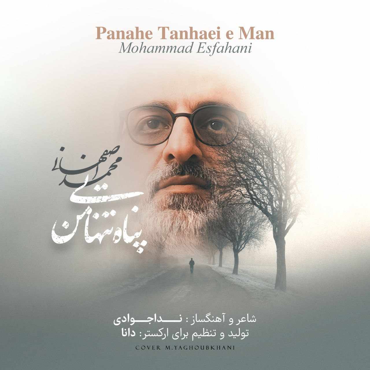 Panahe Tanhaeie Man
