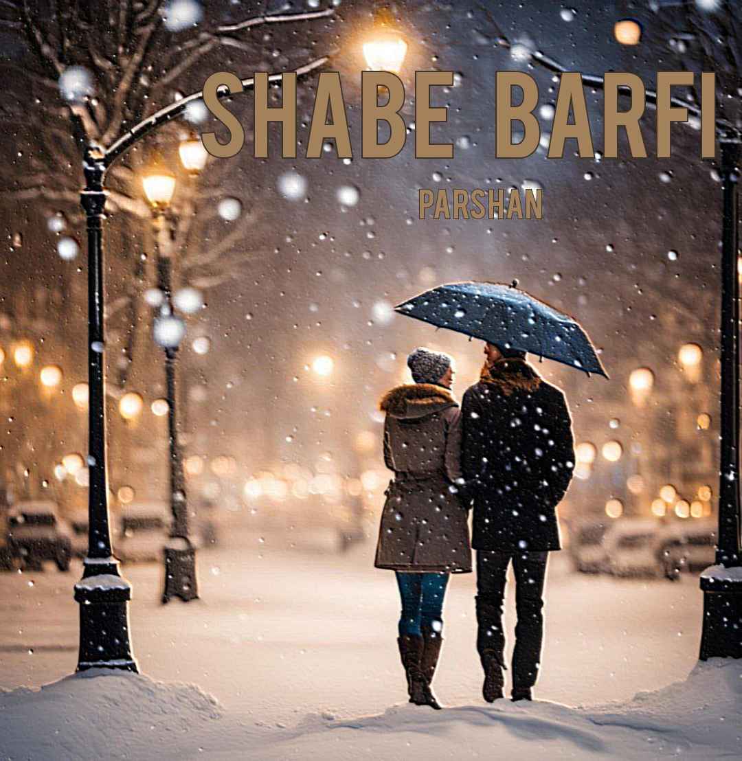 Shabe Barfi