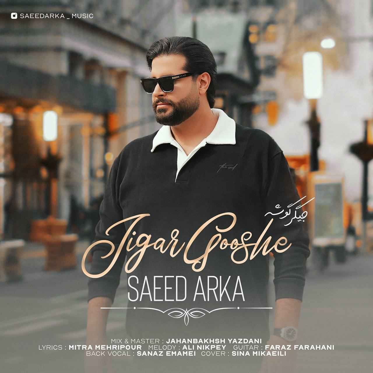 Jigar Gooshe