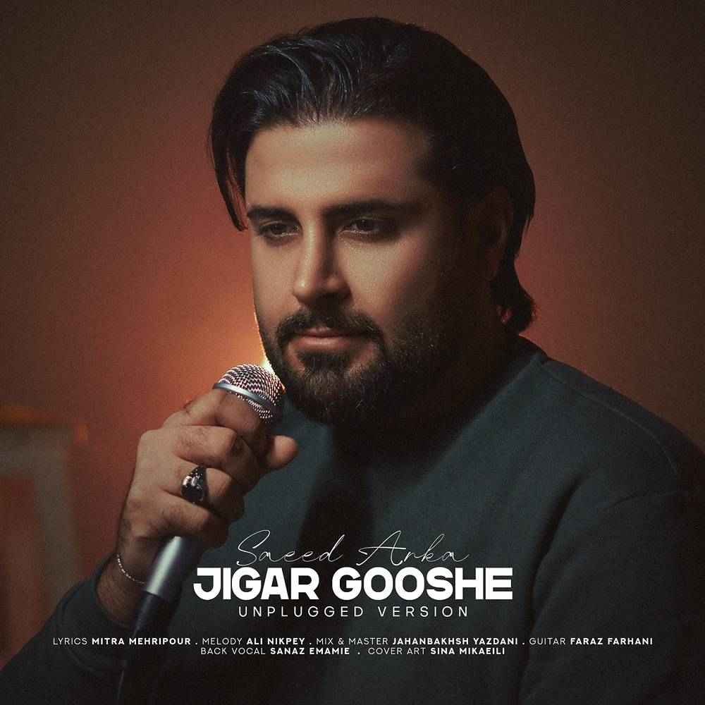 Jigar Gooshe (Unplugged Version)